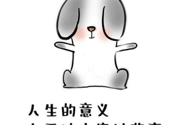 探寻命运的真谛：歌曲《算你今生什么命》的魅力解析