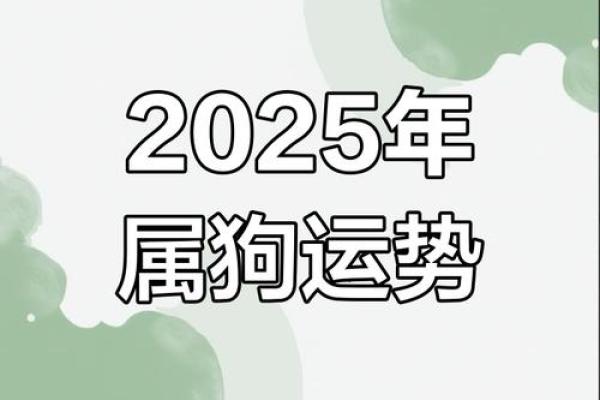 狗年出生的人属什么命？揭秘狗年命人的性格与运势！