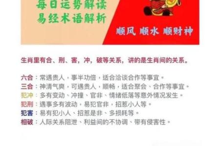 哪个属相的女孩命最好：揭秘生肖与命运的奥秘