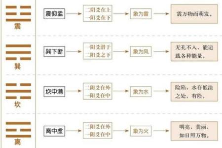 坤卦命与其他命理搭配的完美组合探讨