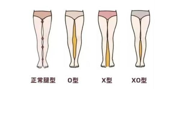 大腿粗人的命运：从体型看性格与吉凶的微妙关系