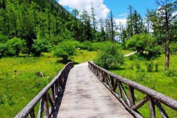 1998木命的意义与命运探秘：发现自我、迎接挑战的旅程