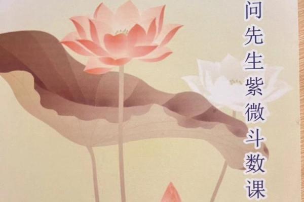 揭秘张扬1991年的命运之谜：探索人生与命理的交织