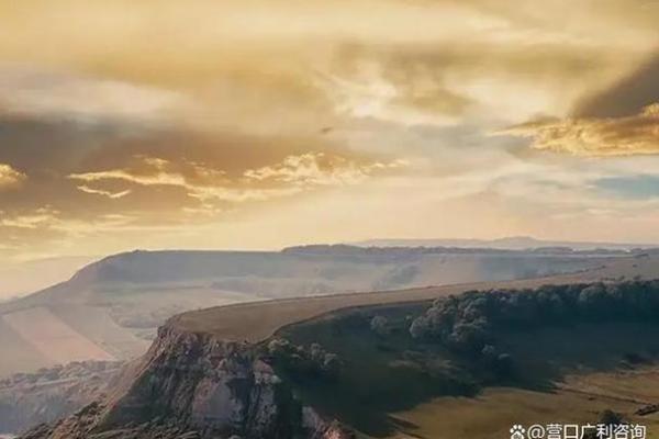 探讨“出道弟子”命运为何不佳的深层原因