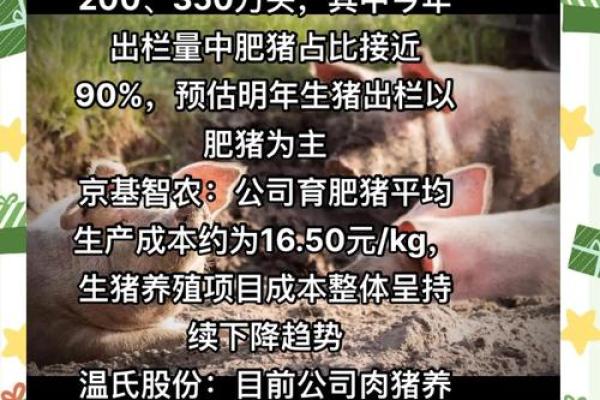2017年猪年的命运解析：解密属猪人事业与感情的双重挑战