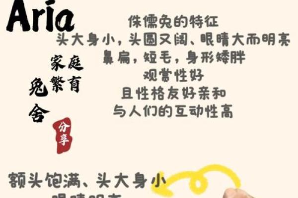 探索2011年出生女兔的命运与性格特征解析