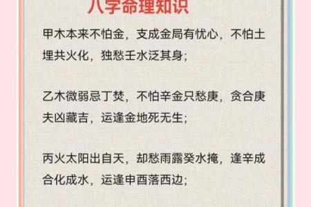 探索满命与零命：深度解读命理学中的奥秘与智慧