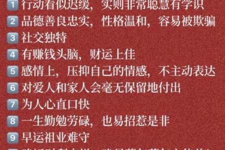 男命四两三的命理解析与人生运势的影响