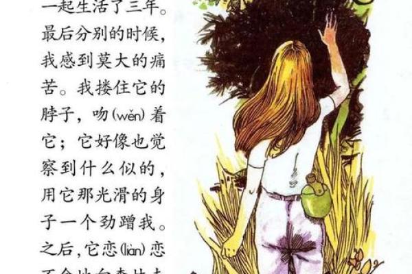 落魄狮子的自白：从王者到流浪的心声