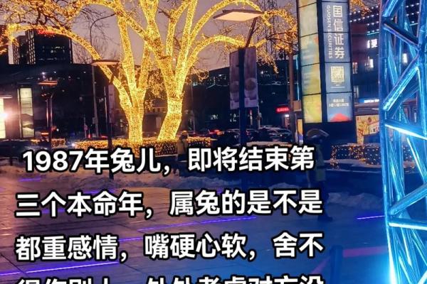 1987年属兔之人：命理解析与生活启示