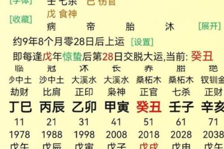丁酉炉中火命格的特征与命运解析