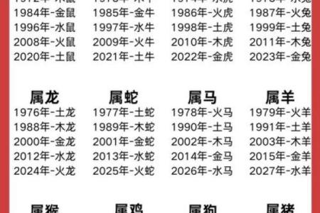 1994年出生的你，属于什么生肖和命运？一探究竟！