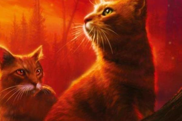 养什么动物都是什么命，解读宠物与命运的神秘关系