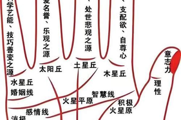 手相乾宫的奥秘：揭示命运之路的秘密与启示
