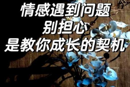 从“风起云涌”看人生的波折与机遇