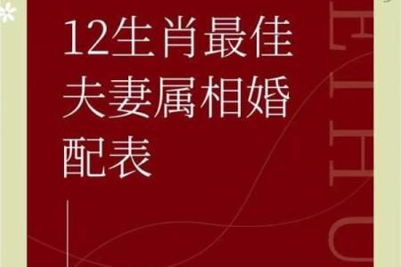1980年出生的人命婚配：缘分与命运的交织