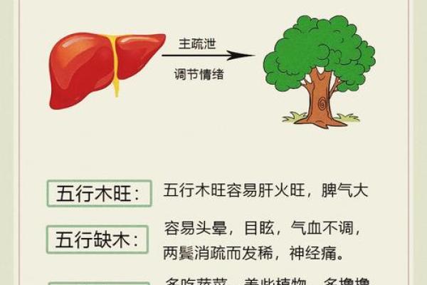 石榴木命与最佳搭档：探寻五行相生的和谐之道