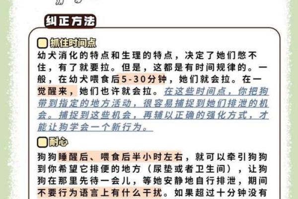 宠物对命格的影响:如何解读我们的命理与伴侣动物的关系 宠物对命格的影响:如何解读我们的命理与伴侣动物的关系