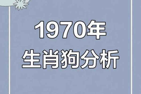 探秘1994年出生的狗年人：性格特点与未来发展