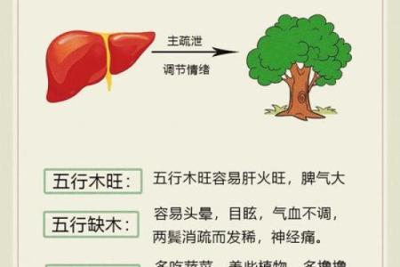 石榴木命与最佳搭档：探寻五行相生的和谐之道