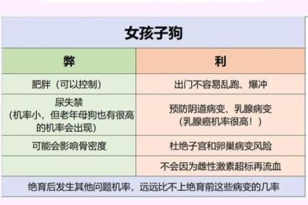 宠物对命格的影响：如何解读我们的命理与伴侣动物的关系