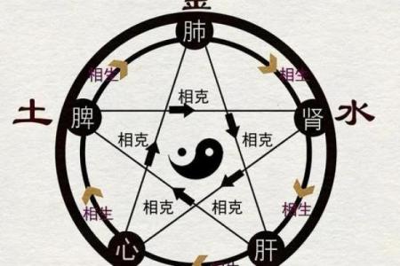 探索五行之道：揭开你的命格之谜