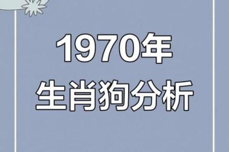 探秘1994年出生的狗年人：性格特点与未来发展