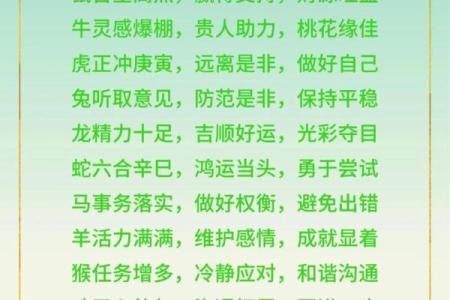 1984年属鼠，揭秘鼠年命格与运势的秘密