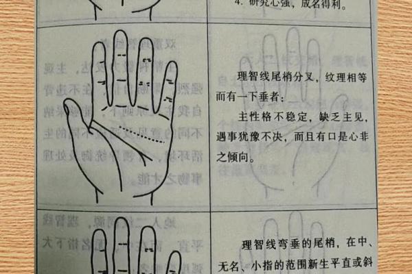 女性手掌暗示着哪些命运与未来？揭秘掌纹的奥秘