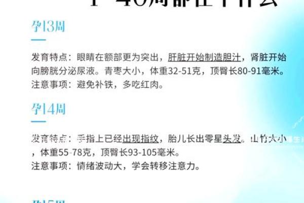 2014年11月出生的孩子命运解析与人生指南