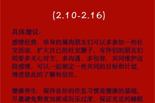 82年属狗人的命运解读与性格分析 82年属狗人的命运解读与性格分析