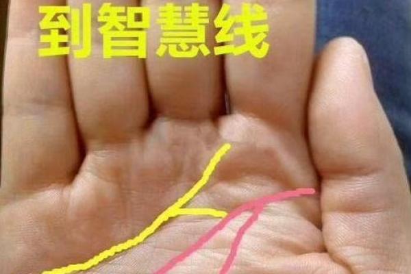 女人指缝不好是什么命，探寻手指与命运的奥秘