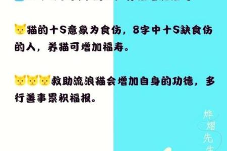 丁火女命缺木，人生途径与命理解析