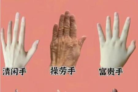 女人指缝不好是什么命，探寻手指与命运的奥秘