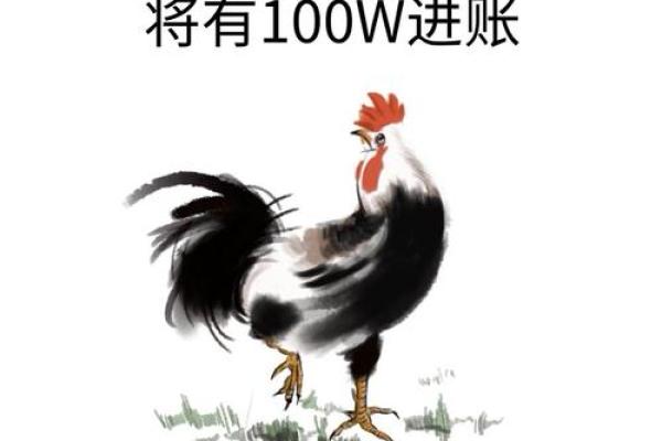 93年属鸡的命运与人生轨迹探索：探寻未来的无限可能