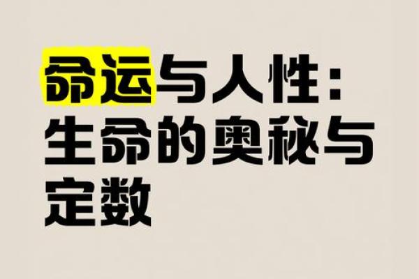 1995年出生者的命运与性格分析：探索生命的奥秘