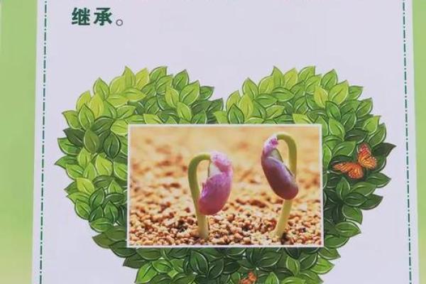 1995年出生者的命运与性格分析：探索生命的奥秘