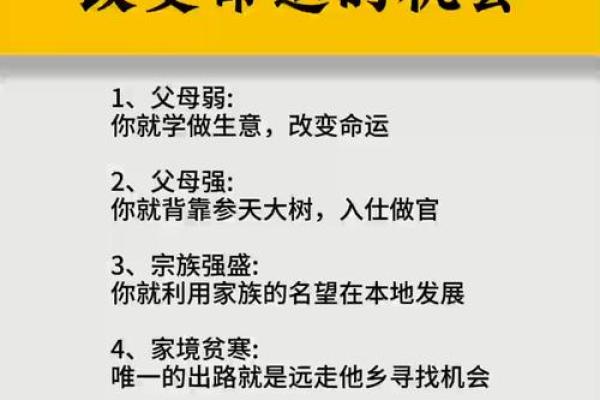 1994年的命运：探索命理与人生的深层联系
