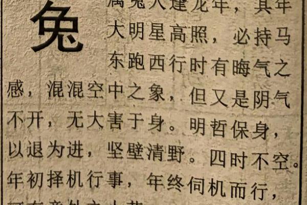 2023年兔年运势解析：掌握命格，迎接幸福人生！