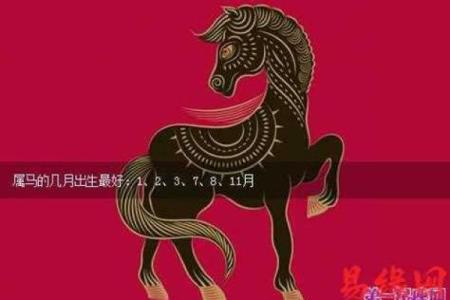 属马的土命人与适配命格的完美组合