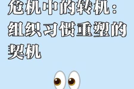 1997年8月：平静之中蕴藏的变革与机遇