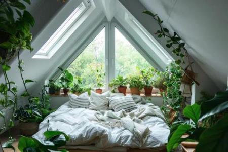 天窗处理技巧：让您的居家环境焕然一新！