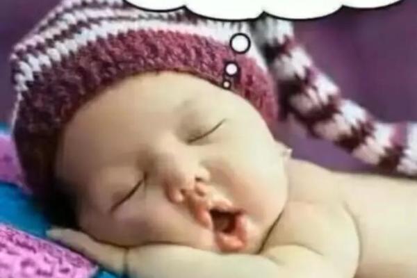 舔狗命之外，我们还有什么命？探寻人生真正的价值与意义