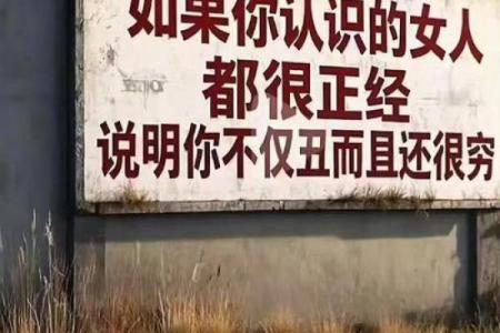 头发少的人命中注定要走的独特人生之路