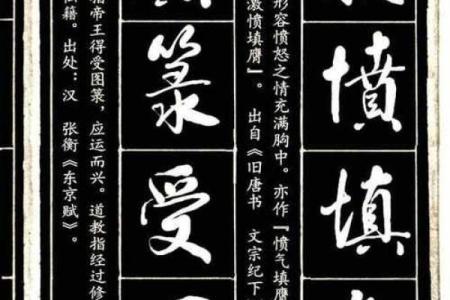 成语接龙：从一发而动全身到草木皆兵的精彩旅程