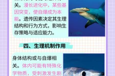 命人发指的动物：教你识别这神秘而又危险的生物