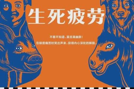 舔狗命之外，我们还有什么命？探寻人生真正的价值与意义