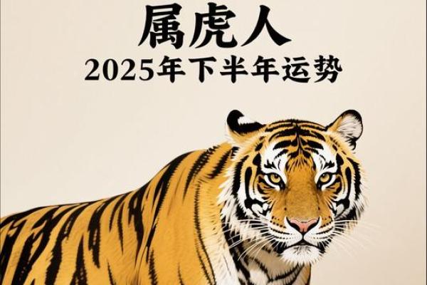 1986年农历丙寅年出生的命理解析与人生智慧