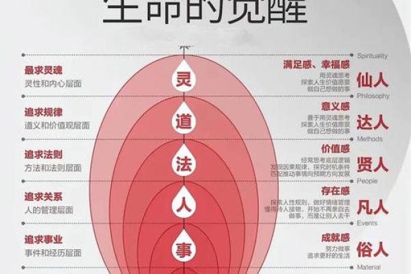 绳命的深意:探索生命的本质与意义 绳命的深意:探索生命的本质与意义