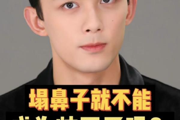 平鼻梁男生的命运解析:性格特点与生活辉煌的秘密 平鼻梁男生的命运解析:性格特点与生活辉煌的秘密